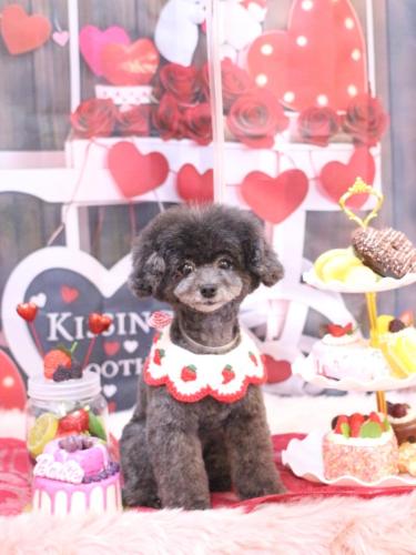 20250205NEROちゃん